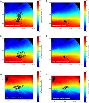 <mark class="highlighted">Foraging Behavior</mark> and Energetics of Albatrosses in Contrasting Breeding Environments